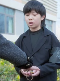 《短剧 离婚后攀高枝》65集流畅短剧解锁观看