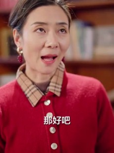 《短剧 晚风知我意》58集全集高清在线观看