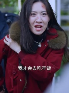 《短剧 风雪归乡路》40集高清短剧全集随时看