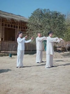 《短剧 商界精英解甲归田》31集一键解锁全集剧情