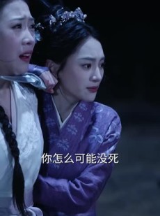《短剧 海棠不惜胭脂色》56集短剧全集免费播放