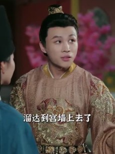 《短剧 麻雀格格入宫记》81集全集短剧随心观看