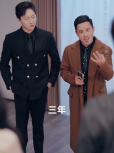 《短剧 我的特工老婆》30集独家资源在线观看