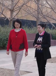 《短剧 盼你有喜》30集一键播放不卡顿