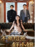 《短剧 不要招惹舒小姐》101集全集短剧轻松解锁