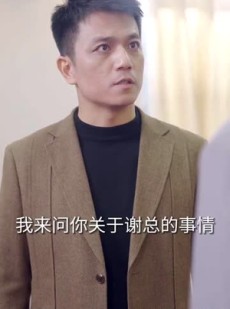 《短剧 卧虎藏龙》92集全集高清在线观看