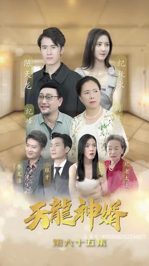 天龙神婿(80集) 天龙神婿(80集)短剧全集VR沉浸版