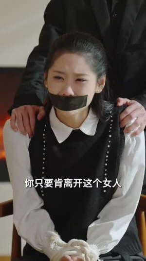 雾港(59集) 雾港(59集)短剧热映全集免费刷