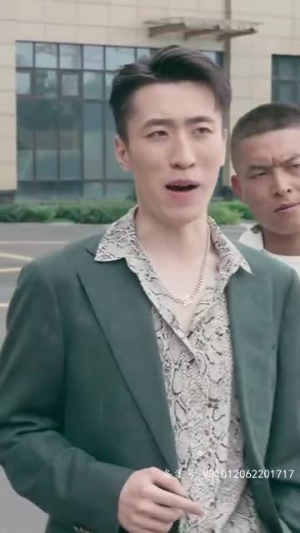 无双国士(96集) 无双国士(96集)短剧合集蓝光画质