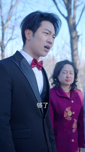 真假新娘(30集) 真假新娘(30集)短剧全系列免费畅享