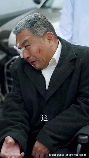 春运回家之逆行救援(61集) 春运回家之逆行救援(61集)短剧全集无删完整版