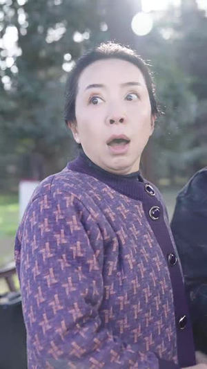 好心婆婆之事与愿违(60集) 好心婆婆之事与愿违(60集)短剧全系列免费畅享
