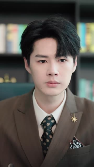 双重生后,江先生宠我上天(82集) 双重生后,江先生宠我上天(82集)短剧热播全集免费追