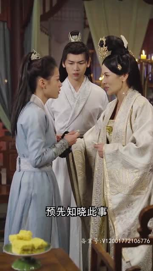 女将军娶个乞丐当王妃(94集) 女将军娶个乞丐当王妃(94集)短剧合集4K修复版