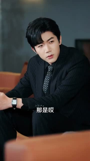 你是我的情劫(80集) 你是我的情劫(80集)短剧终极大放送合集