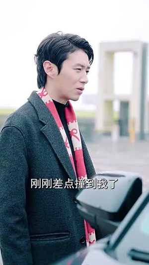 龙年大吉之衣锦还乡（89集）短剧全集高清完整版
