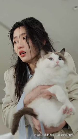 职场新人不好惹(61集) 职场新人不好惹(61集)短剧结局合集限免刷
