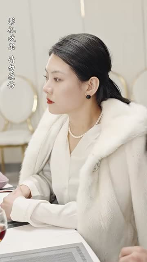 叱咤风云(78集) 叱咤风云(78集)短剧全集投屏大屏看