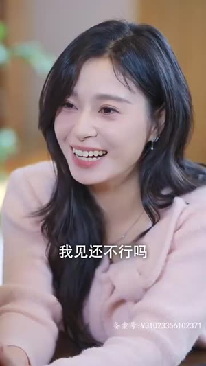 你是我的爱情VIP(100集) 你是我的爱情VIP(100集)短剧合集导演剪辑版