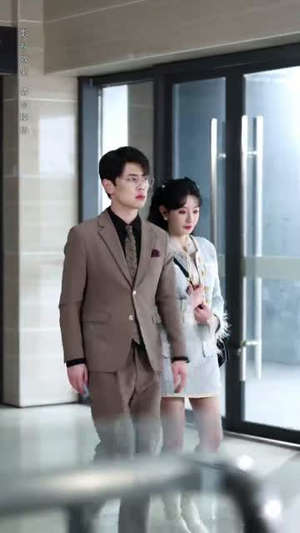 闪婚老公相逢不相识(90集) 闪婚老公相逢不相识(90集)短剧爆款全集在线播