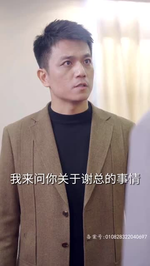 卧虎藏龙(92集) 卧虎藏龙(92集)短剧终极大结局合集