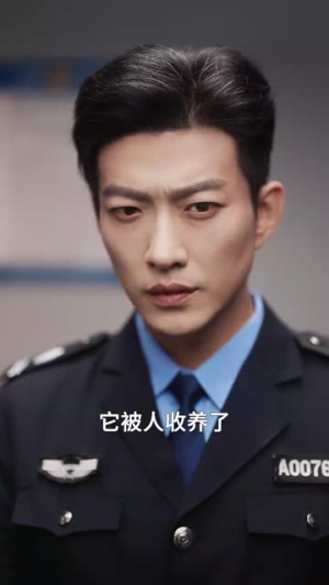 我与玫瑰,随时为公主待命(104集) 我与玫瑰,随时为公主待命(104集)短剧精选全集无广告