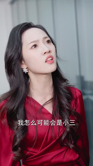 丈夫的双面人生(30集) 丈夫的双面人生(30集)短剧全剧终高清放送