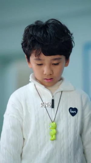 打拐兄弟(30集) 打拐兄弟(30集)短剧全集高清无码版