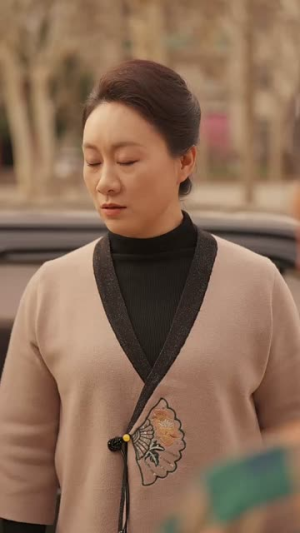 六旬老太走上致富路(60集) 六旬老太走上致富路(60集)短剧全剧终合集放送