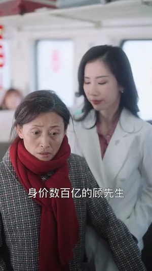 春运归途团圆年(40集) 春运归途团圆年(40集)短剧完整版全集放送
