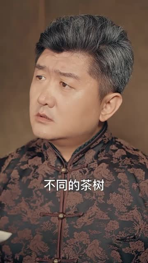 我在民国当祖宗(91集) 我在民国当祖宗(91集)短剧合集4K修复版