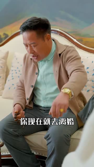 上门虎婿（96集）短剧终极大放送合集
