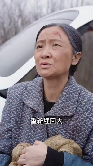 人到老时无所依(77集) 人到老时无所依(77集)短剧大结局全集特惠