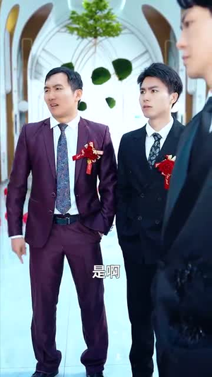 世间无人再似我(32集) 世间无人再似我(32集)短剧全集热力排行榜之一
