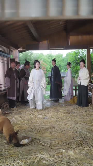 花谢花飞花满天(28集) 花谢花飞花满天(28集)短剧合集导演剪辑版