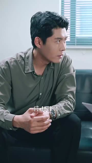 正义回响(98集) 正义回响(98集)短剧全集解锁零收费