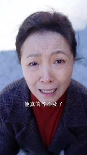 现在开庭（33集）短剧全剧终限免合集