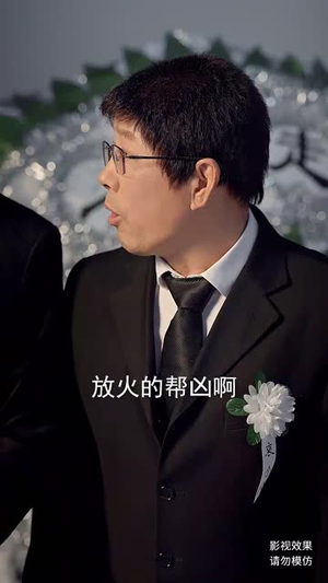 火烧至叶落(32集) 火烧至叶落(32集)短剧全系列永久免费