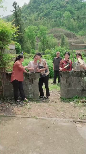 我家婆婆超护短(76集) 我家婆婆超护短(76集)短剧合集蓝光画质